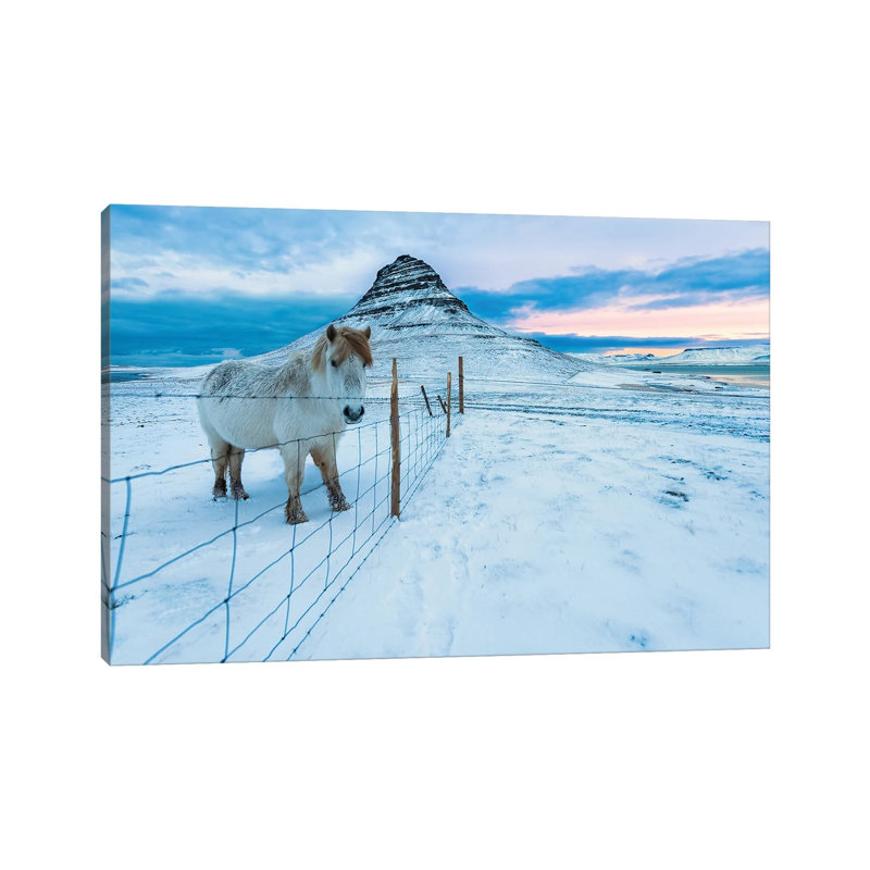 Kirkjufell Morn by David Gardiner - Wrapped Canvas Print, 20.32cm H x 30.48cm W