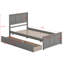 Platform Storage Bed With 2 Drawers-1785026774