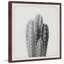 «Four Cacti», reproduction d'art graphique sur papier-27718896-32818219