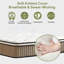 14'' Medium Plush Hybrid Mattress With Leaf Pattern Top – Gel Memory Foam & Pocket Coils-1847863618