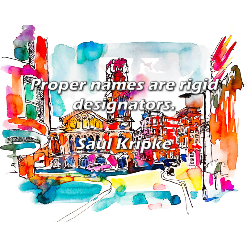 Citation artistique «Les noms propres sont des désignateurs rigides». Toile tendue par Saul Kripke, H 24 po x l 17 po
