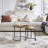 2 Piece Coffee Table Set Wood Nesting Table-18111831