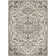 Minneapolis Oriental Indoor Rug