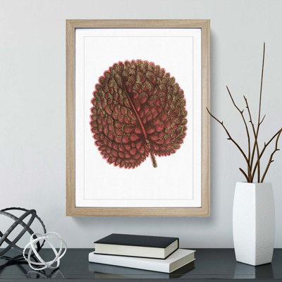 Plant Leaf by Benjamin Fawcett - Picture Frame Painting Print