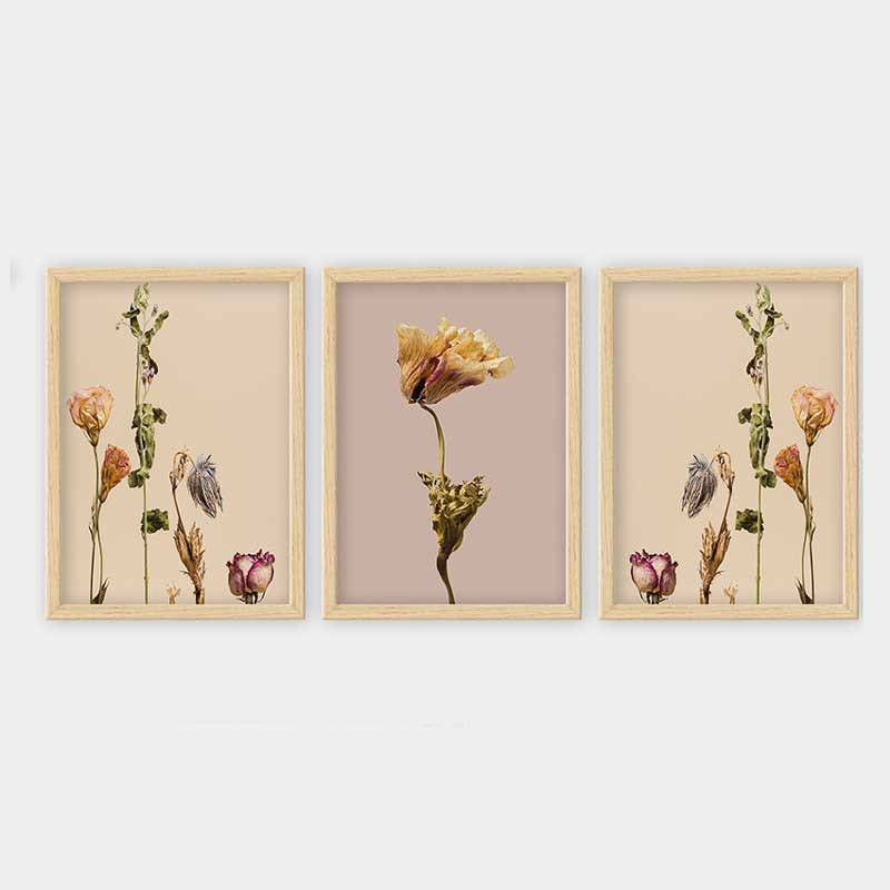 Ensemble de 3 peintures élégantes encadrées décoratives, 13,8 x 17,7 pouces chacune | 100% bois avec cadre 100% polystyrène (épaisseur: 0,8 pouce) | Impression numérique UV, parfaite pour le salon et la décoration intérieure