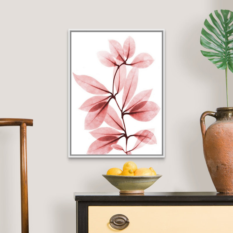 Reproduction d’art sur toile, "Coral Wonder 2" par Albert Koetsier, H 26 po x l 20 po x P 1,75 po, Toile blanche encadrée