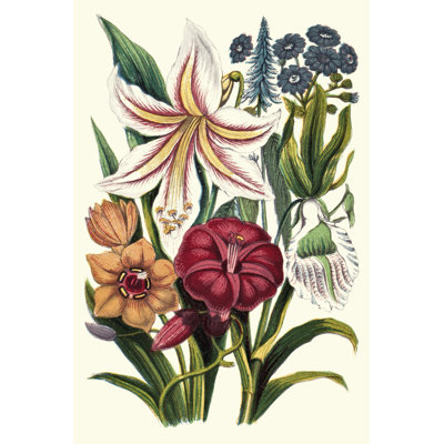 Garden Gathering V 1 Piece Wrapped Canvas Painting
