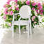 Clear Pastic Dining Chair
