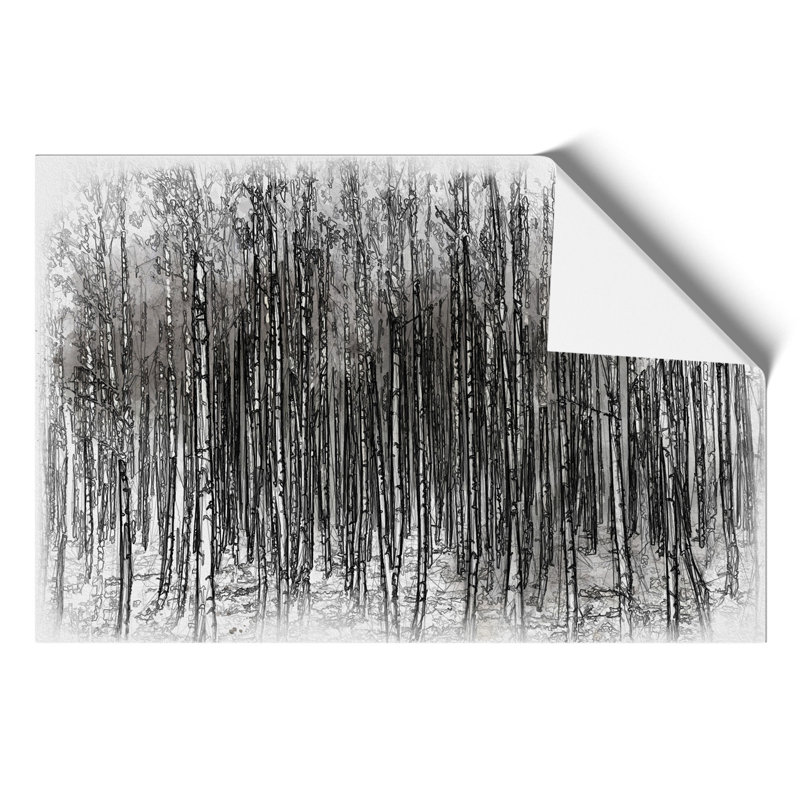 Birch Tree Forest Sketch - Frameless Print, 59cm H x 84cm W x 0.1cm D