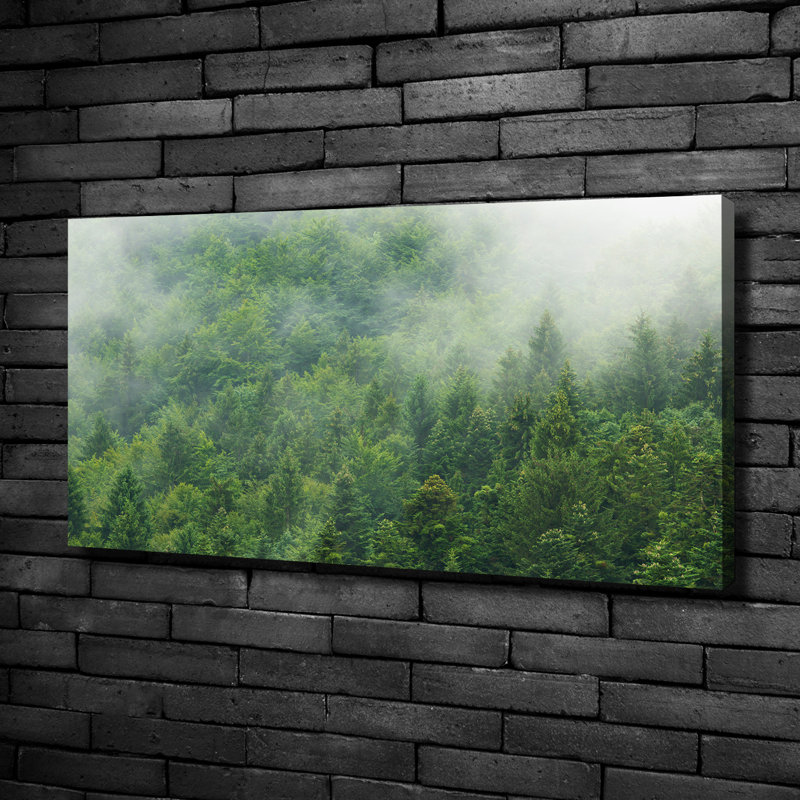 Mysterious Forest - Wrapped Canvas Print, Canvas, 50cm H x 100cm W