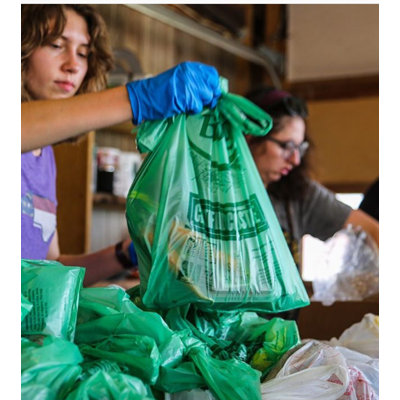 Grand sac compostable par Biobag (500 unités)
