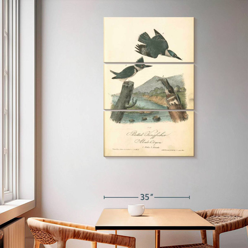 Brampt Belted Kingfisher, 65" H x 42" W