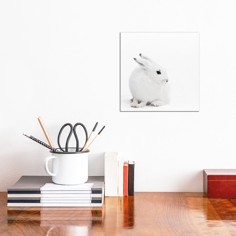 Arctic Hare I Square by Monika Strigel - Wrapped Canvas Print, 30.48 cm H x 30.48 cm W