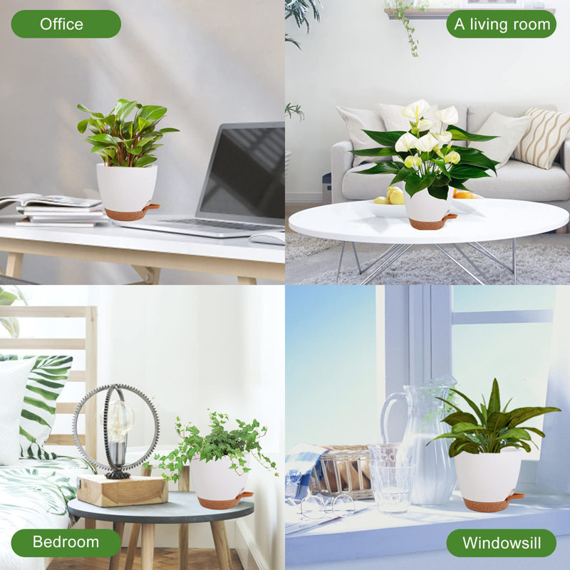 Self Watering Plant Pots Indoor, White/Brown