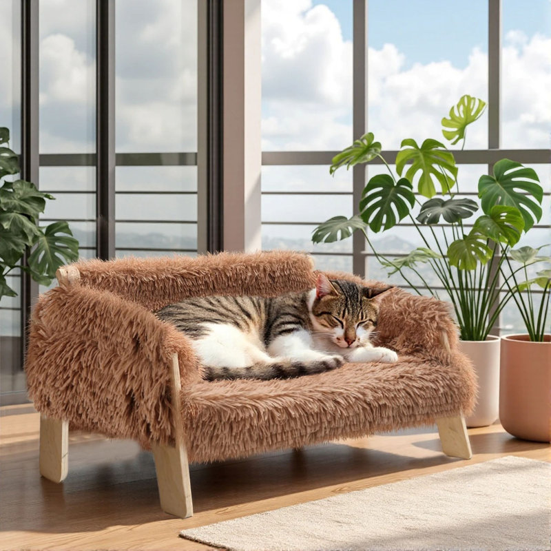 Pet Sofa