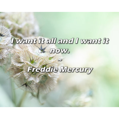 Artsy Quote "I want it all and I want it now." By Freddie Mercury Gallery Wrapped Canvas