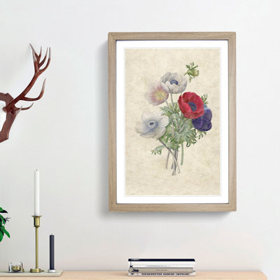 Anemone Flowers by Pierre-Joseph Redoute - Single Picture Frame Painting