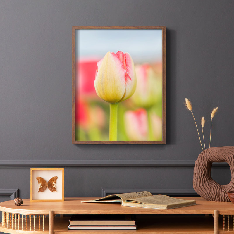 Twotone Tulip Framed Print - Solid Wood, Brown, 10" H x 8" W
