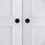 Agna 2 Door Manufactured Wood Wardrobe