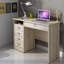 Gouge Computer Desk-38263702