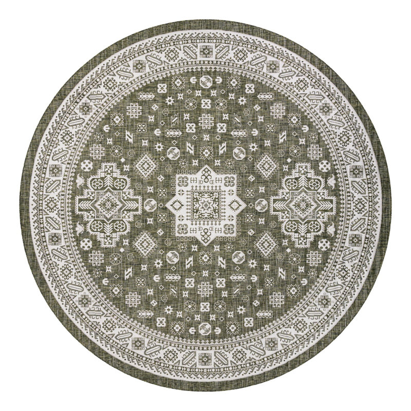 Tapis intérieur / extérieur brun Anarsja Southwestern, Rond 13 pi 1 po