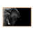 Framed Matted Print