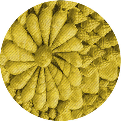 Pavone Indoor Rug