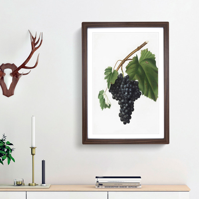 Black Canaiolo Grapes by Giorgio Gallesio - Picture Frame Art Print, Walnut Framed, 36cm H x 27cm W x 2cm D