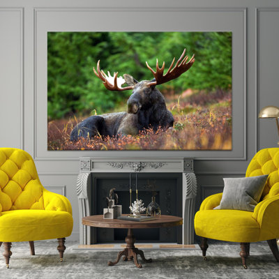 Printed Canvas: Forest Animal Decor, Bohemian Style Wall Art,1P Wrapped Canvas