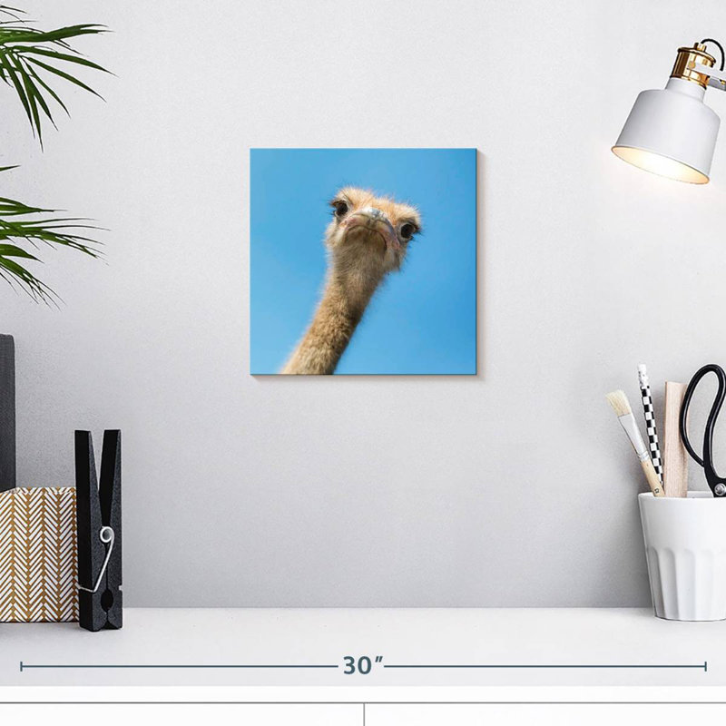 Crowle Curious Ostrich, 10" H x 10" W