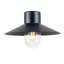 Ivy 22cm H Outdoor Barn Light