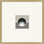 Coined Stripe 2 Print by Thom Filicia