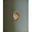 Alexine 1 - Light Armed Sconce