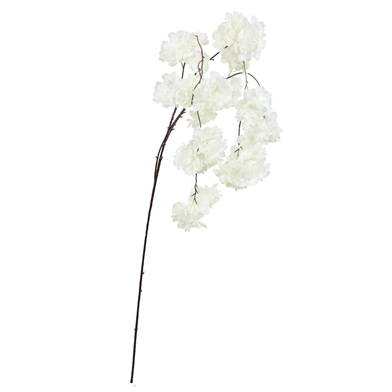 Jet de fleurs de cerisier en cascade, Blanc crème