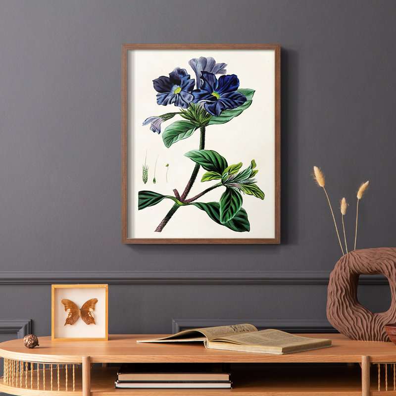 Reproduction encadrée Antique Floral Folio IV - bois massif, Brun, H 28 po x l 22 po