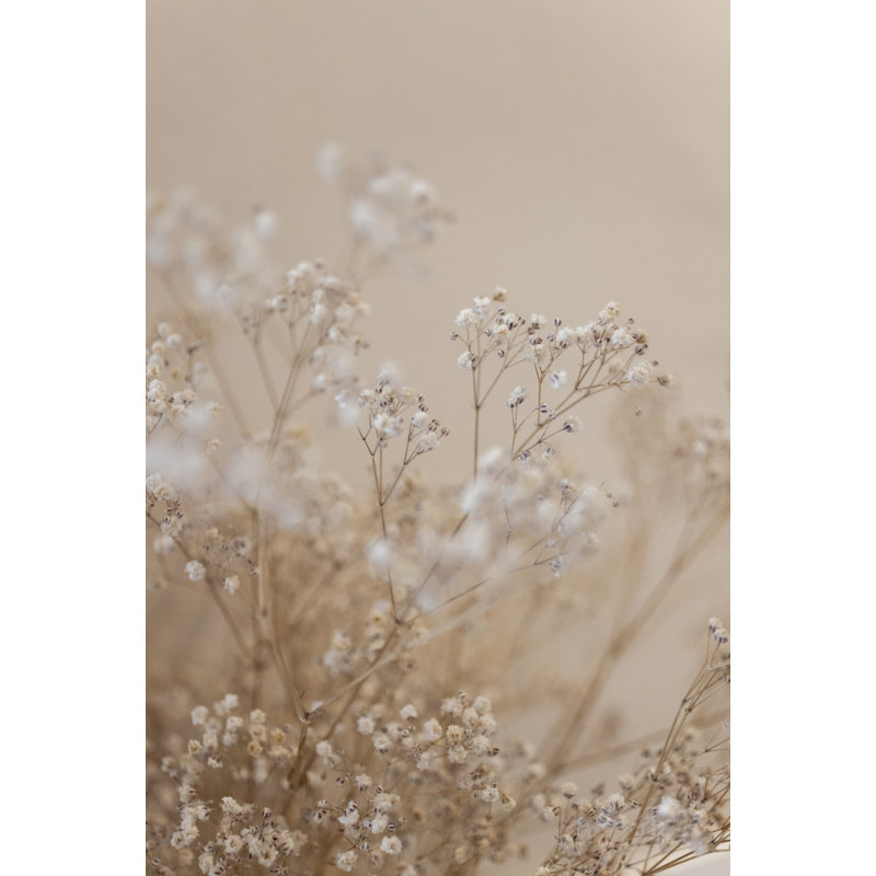 Wrapped Canvas Print, 76.2 cm H x 50.8 cm W