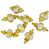 Gold Shiny selected