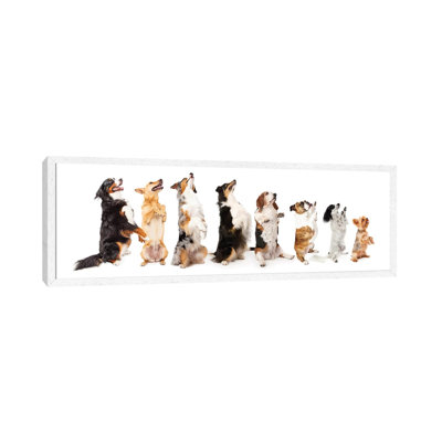 Row of Dogs Sitting up to Side Begging 1 Piece Panoramic Wall Art on Canvas