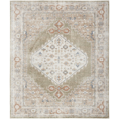 Millyr Washable Oriental Rug