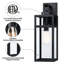 Schlesinger Matte Black Outdoor Wall Lantern-778831476