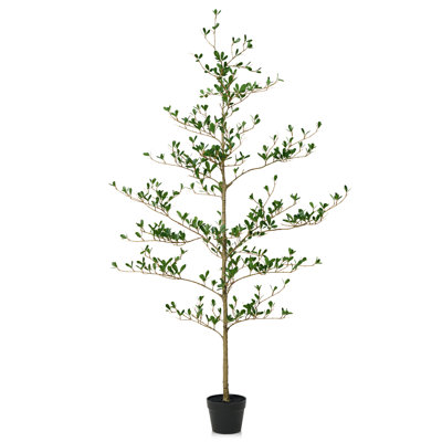 Adcock 84" Olive Tree in Pot