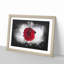 Red Rose In Bloom - Picture Frame Graphic Art-56876641-56876647