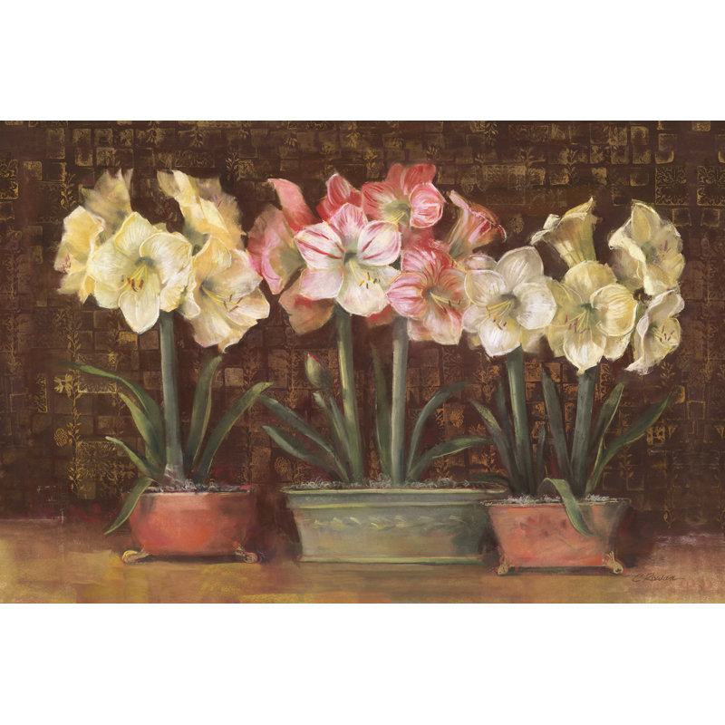 «Amaryllis on Brown» par Carol Rowan - reproduction d'art sur toile tendue, H 12 po x l 18 po