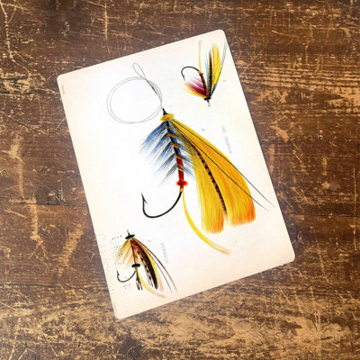 Fish Fishing Flies Salmon - No Frame Print on Metal