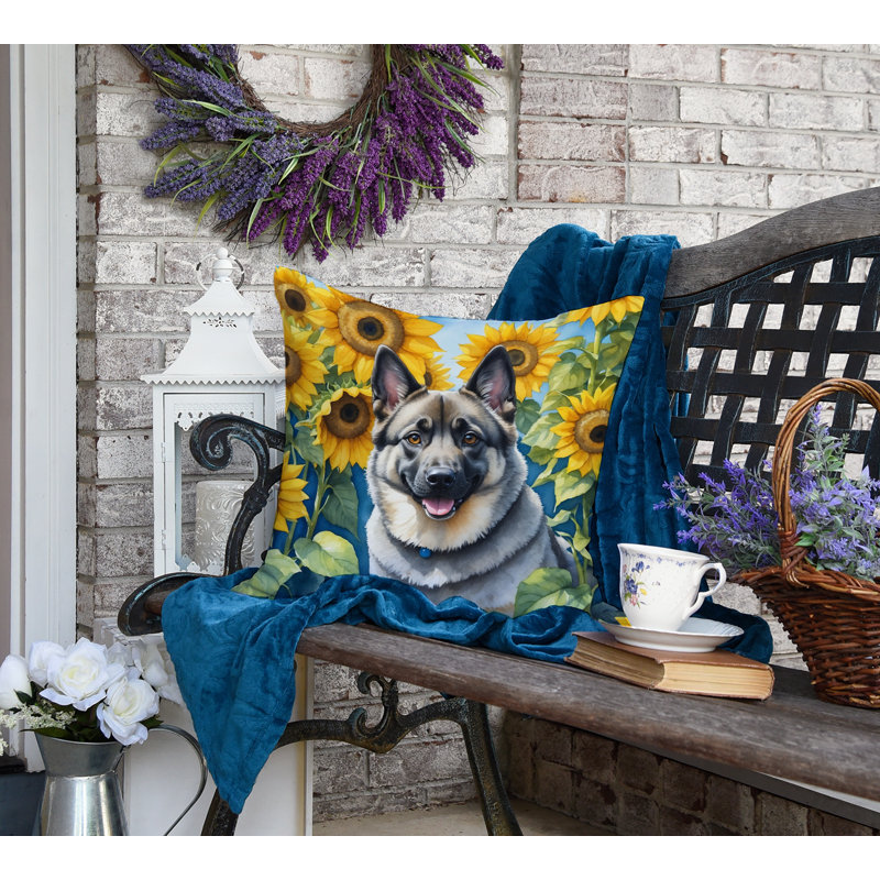 Other/No Pattern Outdoor Throw Pillow, 18" H x 18" W