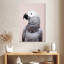 Brampt gris africain-108361297