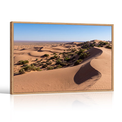 Vaste toile de dunes dorées avec arbustes de désert verts