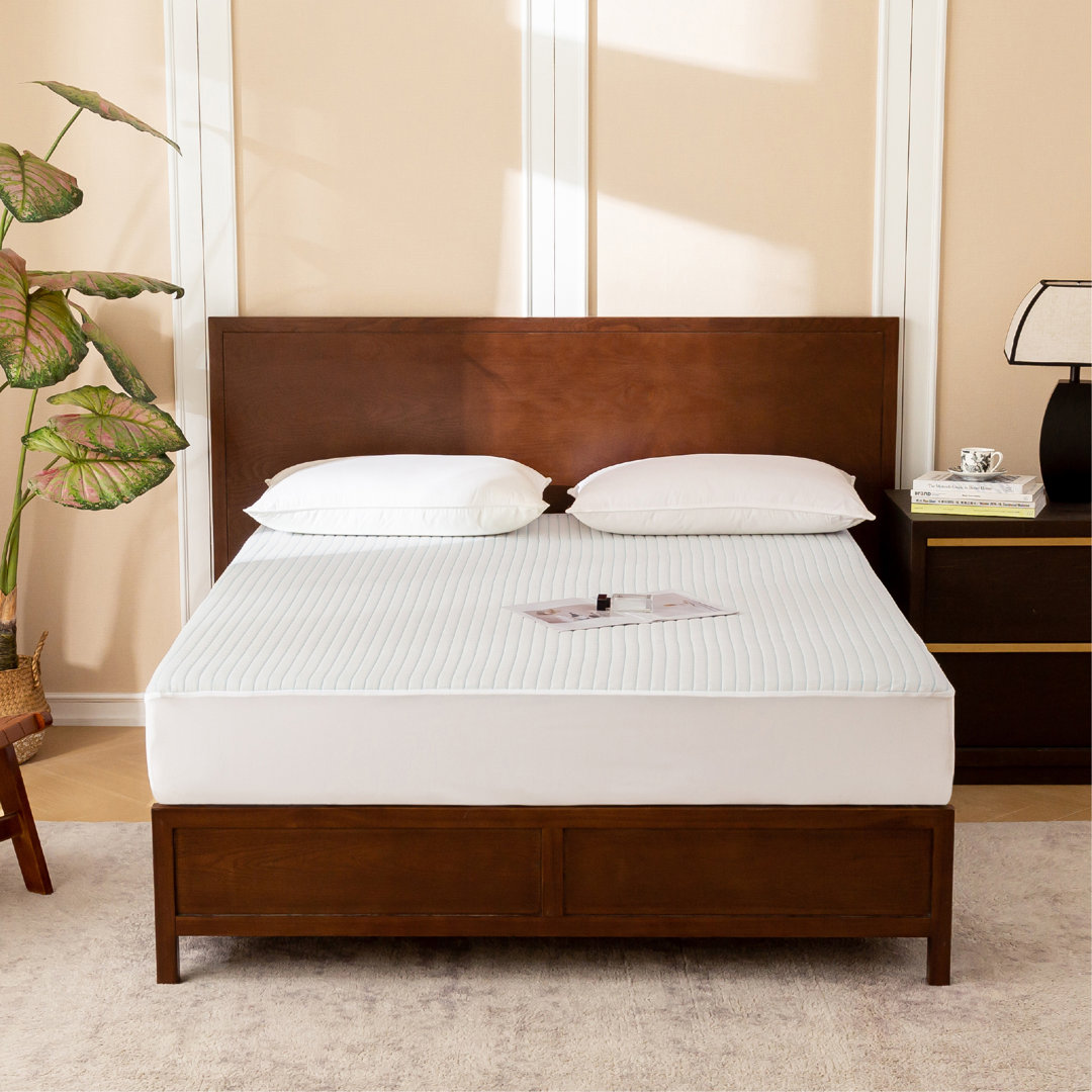 Shelstead Cooling Waterproof Fitted Mattress Protector Alwyn Home Bed