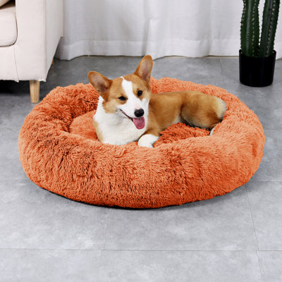 Sharlene Sharlene Shaggy Donut