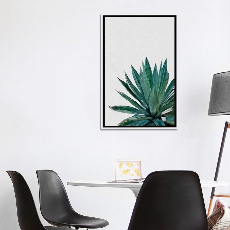 « agave cactus »-impression photographie, H 60 po x l 40po x P 1,5 po, Toile blanche encadrée